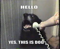 dog`s speaking.jpg